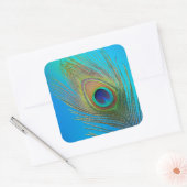 Peacock Schwanz Feather Quadratischer Aufkleber (Umschlag)