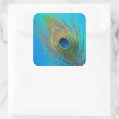 Peacock Schwanz Feather Quadratischer Aufkleber (Tasche)