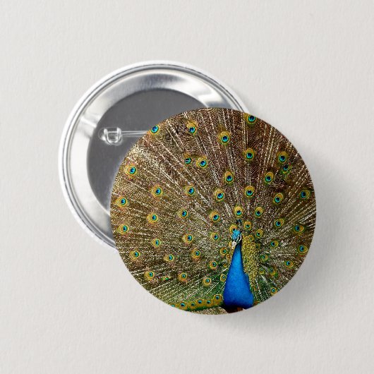 Peacock Schwanz Feathers Button (Vorne & Hinten)