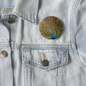 Peacock Schwanz Feathers Button (Beispiel)
