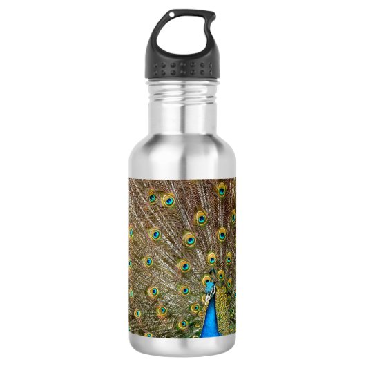 Peacock Schwanz Feathers Edelstahlflasche (Vorderseite)