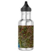 Peacock Schwanz Feathers Edelstahlflasche (Rechts)