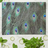 Peacock Schwanz Feathers Geschirrtuch (Gefaltet)