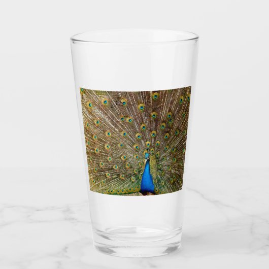Peacock Schwanz Feathers Glas (Vorderseite)