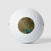 Peacock Schwanz Feathers Golfball (Vorderseite)
