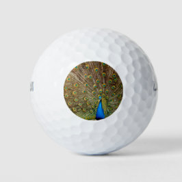 Peacock Schwanz Feathers Golfball
