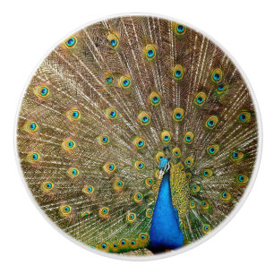 Peacock Schwanz Feathers Keramikknauf