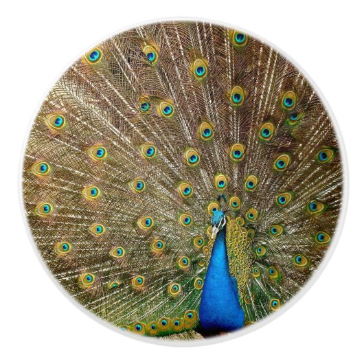 Peacock Schwanz Feathers Keramikknauf (Vorderseite)
