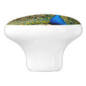 Peacock Schwanz Feathers Keramikknauf (Seitenansicht)