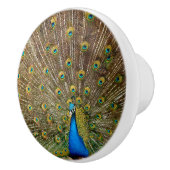 Peacock Schwanz Feathers Keramikknauf (Rechts)