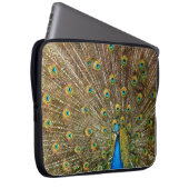 Peacock Schwanz Feathers Laptopschutzhülle (Vorne Rechts)