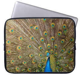 Peacock Schwanz Feathers Laptopschutzhülle