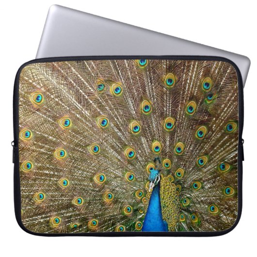 Peacock Schwanz Feathers Laptopschutzhülle (Vorderseite)
