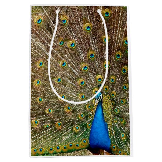 Peacock Schwanz Feathers Mittlere Geschenktüte (Vorderseite)