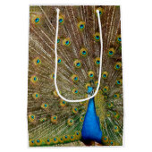 Peacock Schwanz Feathers Mittlere Geschenktüte (Rückseite)