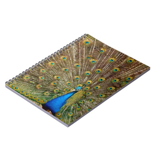 Peacock Schwanz Feathers Notizblock (Linke Seite)