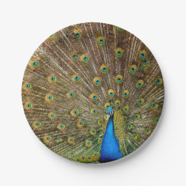 Peacock Schwanz Feathers Pappteller