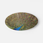Peacock Schwanz Feathers Pappteller (Schrägansicht)