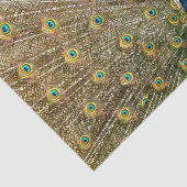 Peacock Schwanz Feathers Seidenpapier (Ausschnitt)
