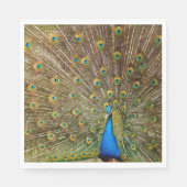 Peacock Schwanz Feathers Serviette (Vorderseite)
