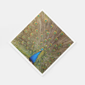 Peacock Schwanz Feathers Serviette (Ecke)