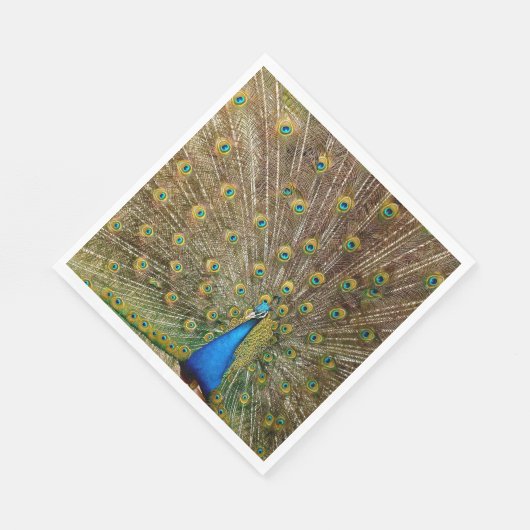Peacock Schwanz Feathers Serviette (Ecke)
