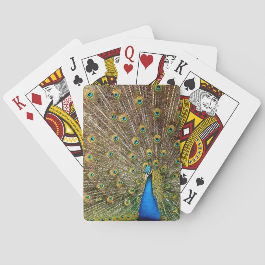Peacock Schwanz Feathers Spielkarten (Rückseite)