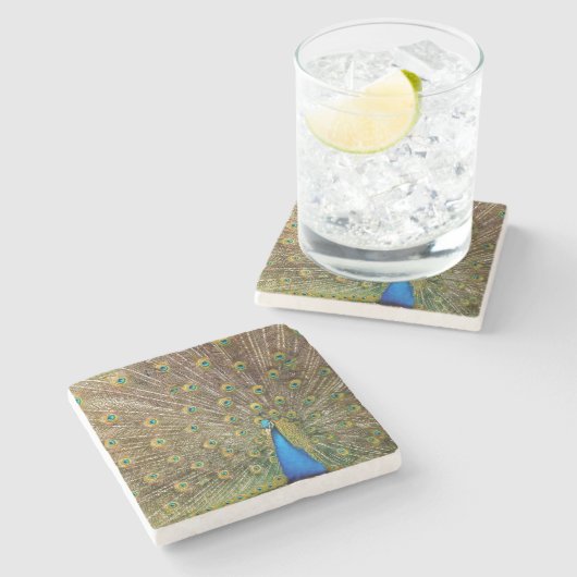 Peacock Schwanz Feathers Steinuntersetzer (Seitenansicht)