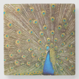 Peacock Schwanz Feathers Steinuntersetzer