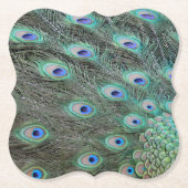 Peacock Schwanz Feathers Untersetzer (Vorderseite)