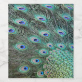 Peacock Schwanz Feathers Weinetikett (Einzelnes Label)