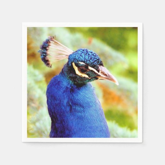 PEACOCK SERVIETTE (Vorderseite)