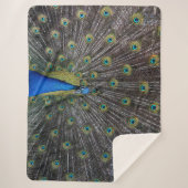 PEACOCK SHERPADECKE (Vorderseite)
