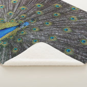 PEACOCK SHERPADECKE (3/4)