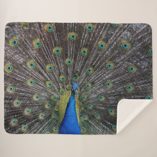 PEACOCK SHERPADECKE (Vorderseite (Horizontal))