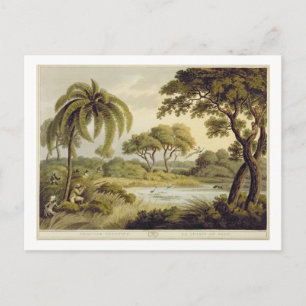 Peacock Shooting, aus "Oriental Field Sports", pu Postkarte