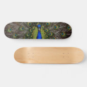 Peacock Skateboard (Horizontal)