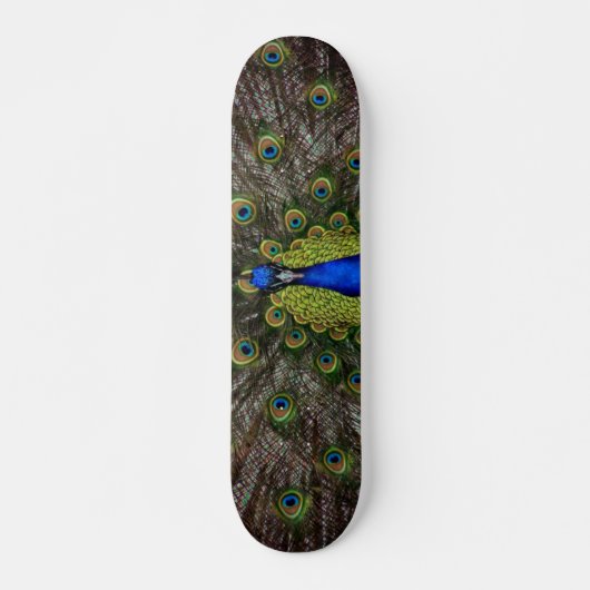 Peacock Skateboard (Vorne)