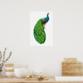 Peacock Small Poster (Küche)