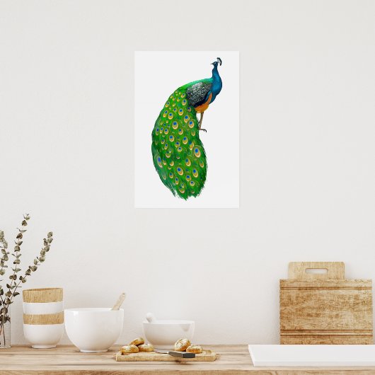 Peacock Small Poster (Küche)