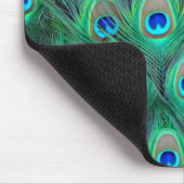 Peacock Splendor Mousepad (Ecke)