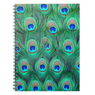 Peacock Splendor Notizblock