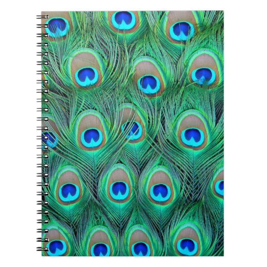 Peacock Splendor Notizblock (Vorderseite)