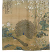 Peacock spuckt seinen Schwanz Fine Art