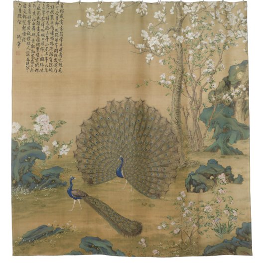 Peacock spuckt seinen Schwanz Fine Art Duschvorhang (Vorderseite)