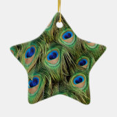 Peacock Star Ornament (Hinten)