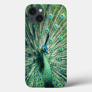 Peacock Strut Case-Mate iPhone Hülle