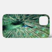Peacock Strut Case-Mate iPhone Hülle (Rückseite (Horizontal))