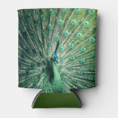 Peacock Strut Dosenkühler (Vorderseite)