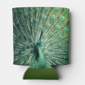 Peacock Strut Dosenkühler (Rückseite)